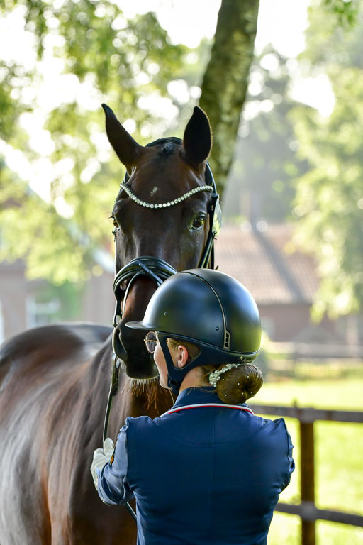 Goldene Schärpe PFerde  in Löningen  11+12.6.22 | 12062022 Vormustern_048 