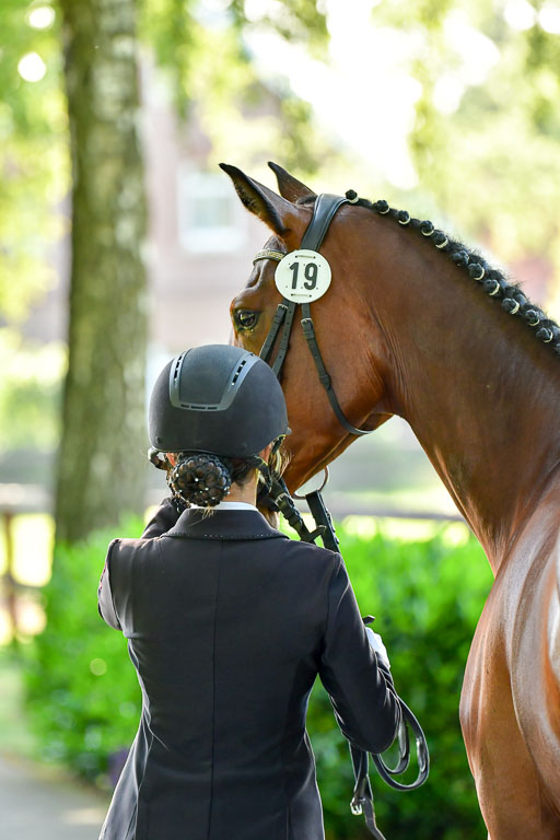 Goldene Schärpe PFerde  in Löningen  11+12.6.22 | 12062022 Vormustern_050 