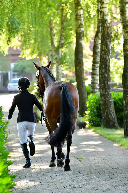 Goldene Schärpe PFerde  in Löningen  11+12.6.22 | 12062022 Vormustern_052 