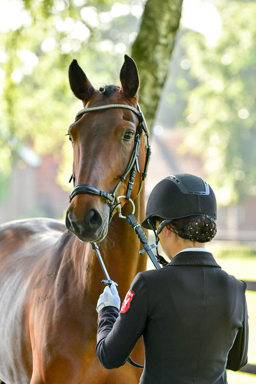 Goldene Schärpe PFerde  in Löningen  11+12.6.22 | 12062022 Vormustern_055 