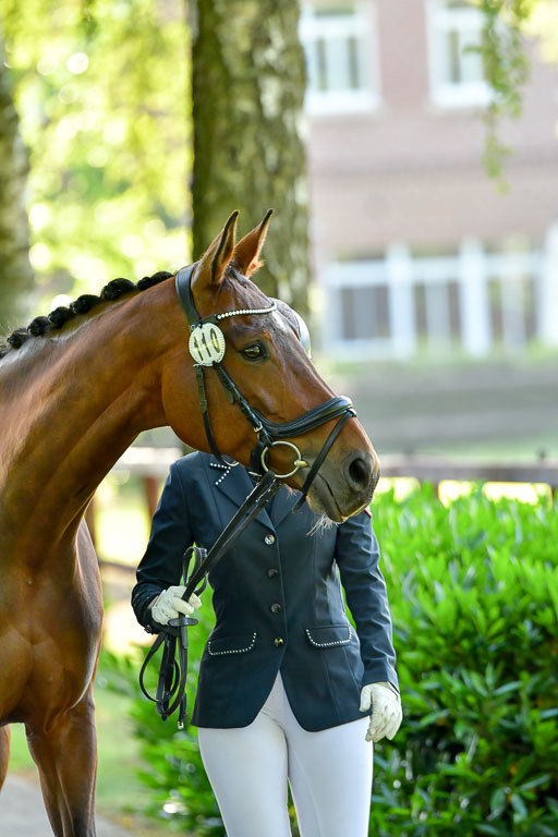 Goldene Schärpe PFerde  in Löningen  11+12.6.22 | 12062022 Vormustern_059 