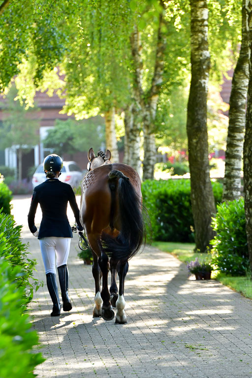 Goldene Schärpe PFerde  in Löningen  11+12.6.22 | 12062022 Vormustern_064 
