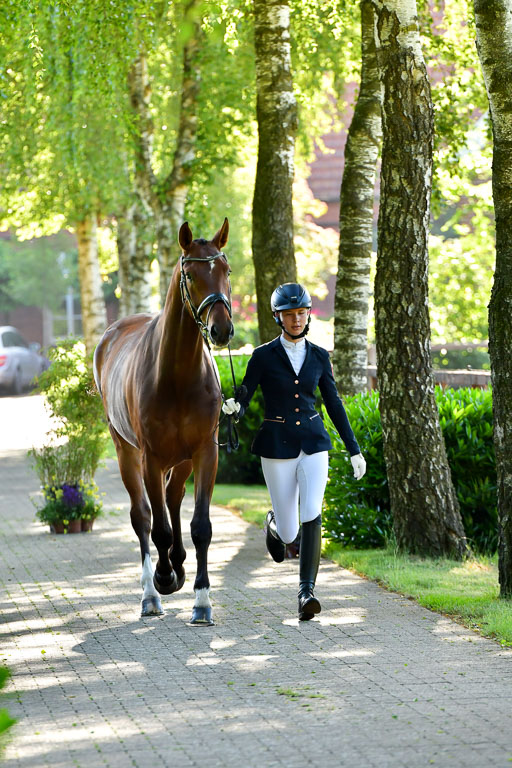 Goldene Schärpe PFerde  in Löningen  11+12.6.22 | 12062022 Vormustern_065 