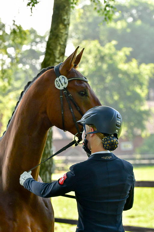 Goldene Schärpe PFerde  in Löningen  11+12.6.22 | 12062022 Vormustern_067 