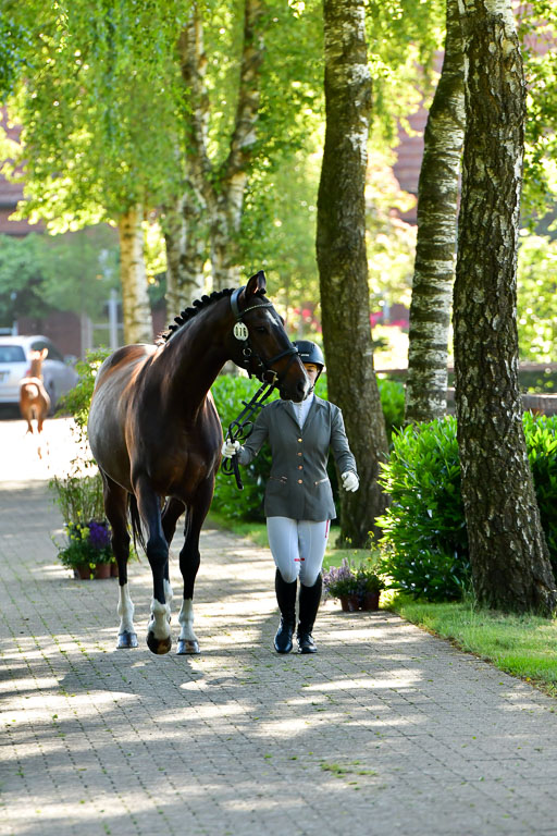 Goldene Schärpe PFerde  in Löningen  11+12.6.22 | 12062022 Vormustern_072 