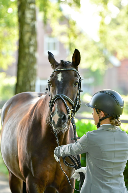 Goldene Schärpe PFerde  in Löningen  11+12.6.22 | 12062022 Vormustern_074 