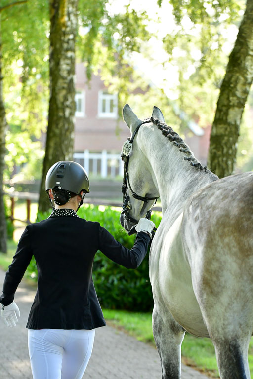 Goldene Schärpe PFerde  in Löningen  11+12.6.22 | 12062022 Vormustern_075 