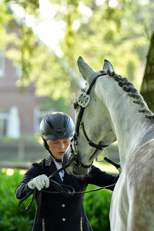 Goldene Schärpe PFerde  in Löningen  11+12.6.22 | 12062022 Vormustern_076 