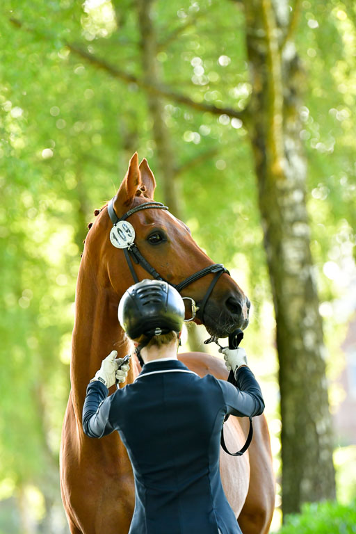 Goldene Schärpe PFerde  in Löningen  11+12.6.22 | 12062022 Vormustern_089 