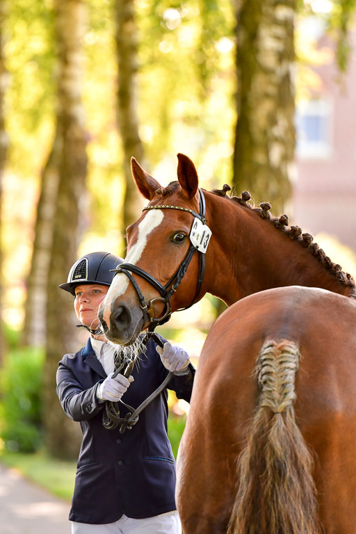 Goldene Schärpe PFerde  in Löningen  11+12.6.22 | 12062022 Vormustern_125 