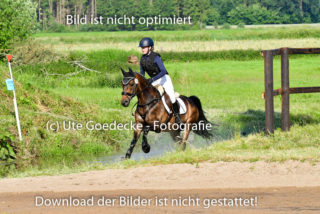 Goldene Schärpe Ponys in Löningen 4+5.6.22 | 04062022 - Gelände 1 Abt _0020