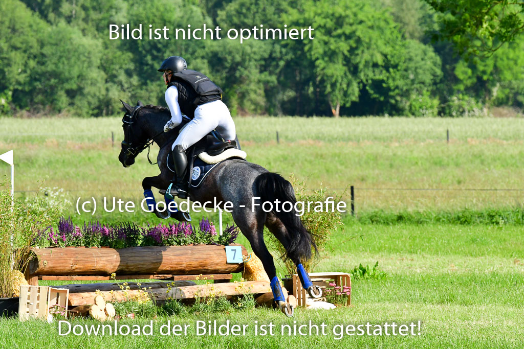 Goldene Schärpe Ponys in Löningen 4+5.6.22 | 04062022 - Gelände 1 Abt _0028