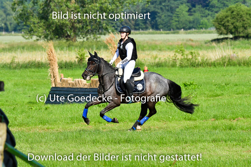 Goldene Schärpe Ponys in Löningen 4+5.6.22 | 04062022 - Gelände 1 Abt _0030