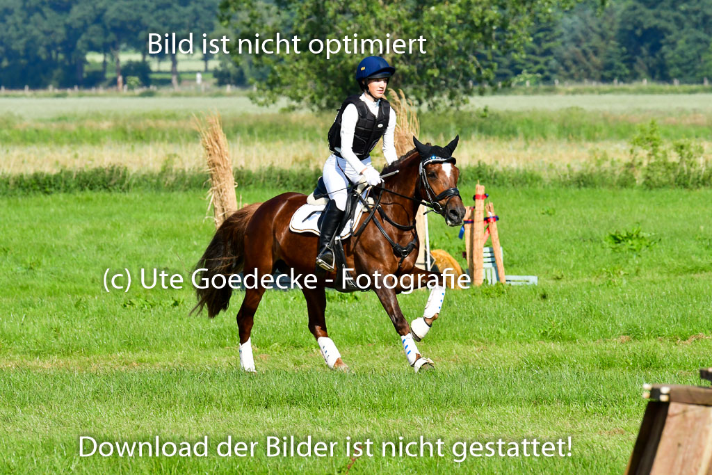 Goldene Schärpe Ponys in Löningen 4+5.6.22 | 04062022 - Gelände 1 Abt _0107