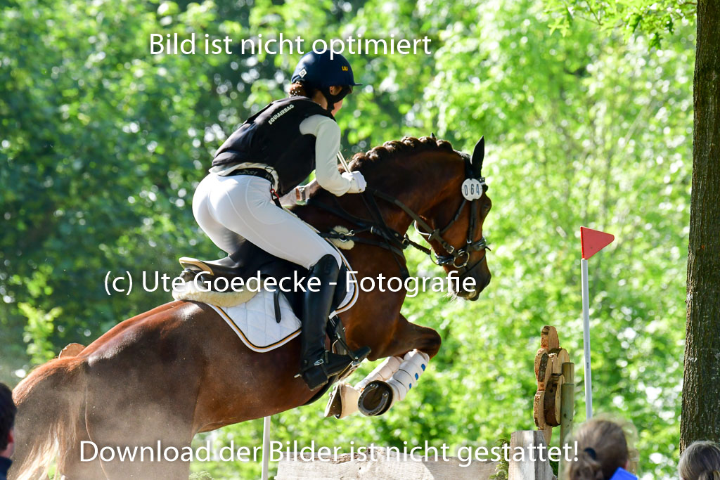 Goldene Schärpe Ponys in Löningen 4+5.6.22 | 04062022 - Gelände 1 Abt _0110