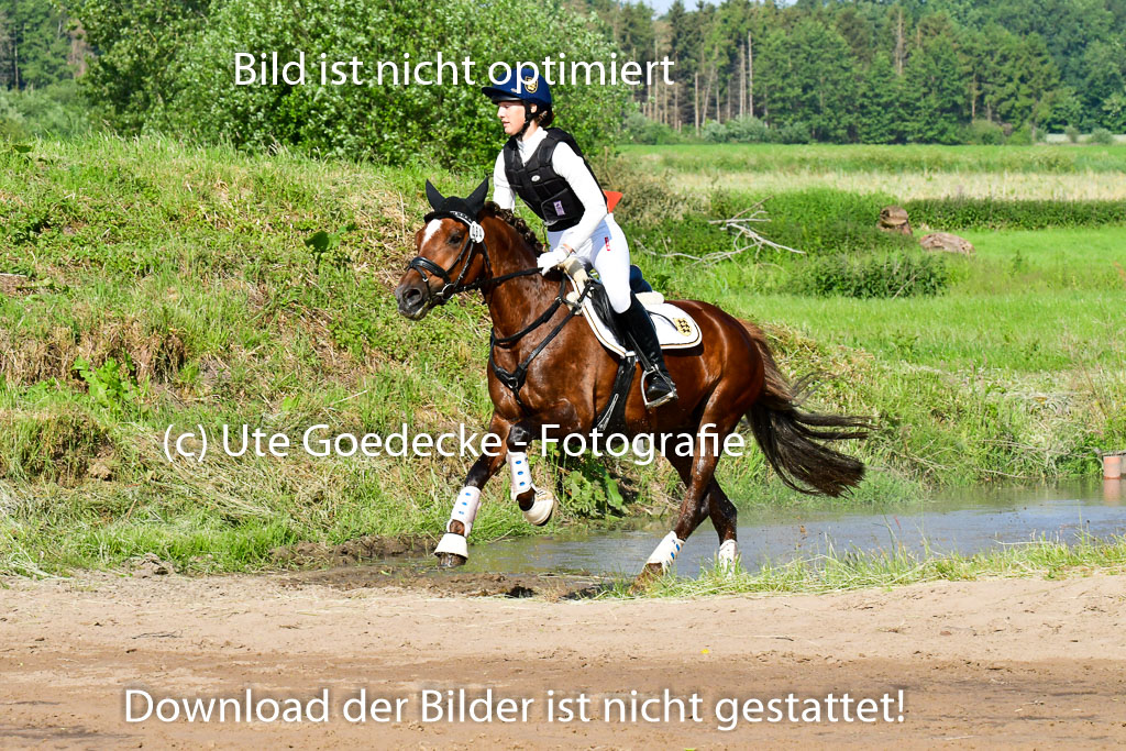 Goldene Schärpe Ponys in Löningen 4+5.6.22 | 04062022 - Gelände 1 Abt _0116