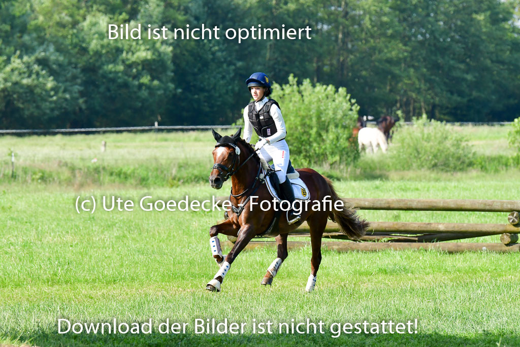 Goldene Schärpe Ponys in Löningen 4+5.6.22 | 04062022 - Gelände 1 Abt _0117
