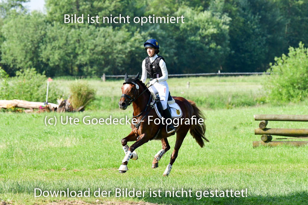 Goldene Schärpe Ponys in Löningen 4+5.6.22 | 04062022 - Gelände 1 Abt _0118