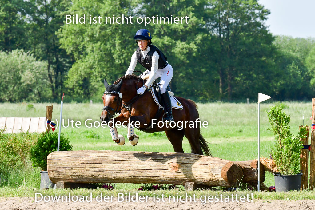 Goldene Schärpe Ponys in Löningen 4+5.6.22 | 04062022 - Gelände 1 Abt _0120