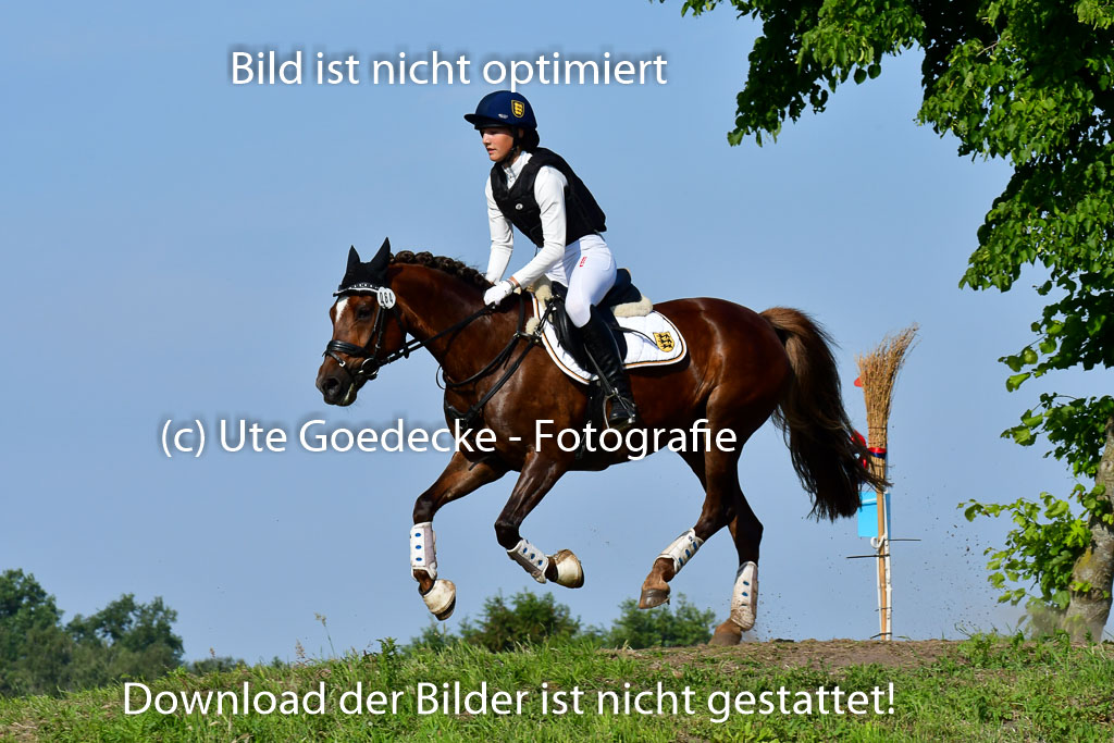 Goldene Schärpe Ponys in Löningen 4+5.6.22 | 04062022 - Gelände 1 Abt _0123