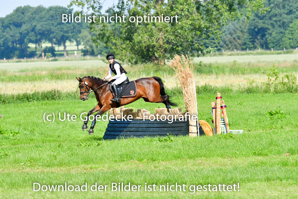 Goldene Schärpe Ponys in Löningen 4+5.6.22 | 04062022 - Gelände 1 Abt _0129