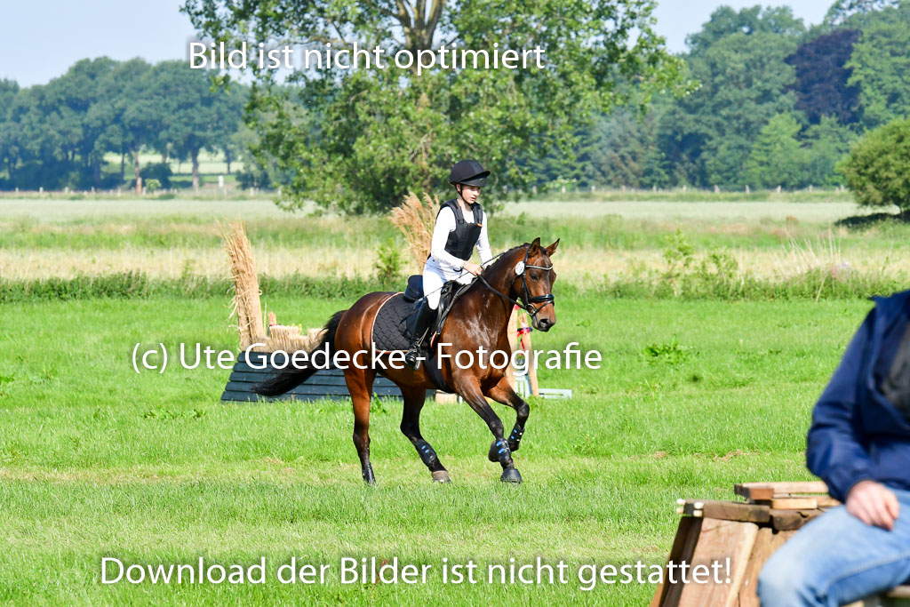Goldene Schärpe Ponys in Löningen 4+5.6.22 | 04062022 - Gelände 1 Abt _0130