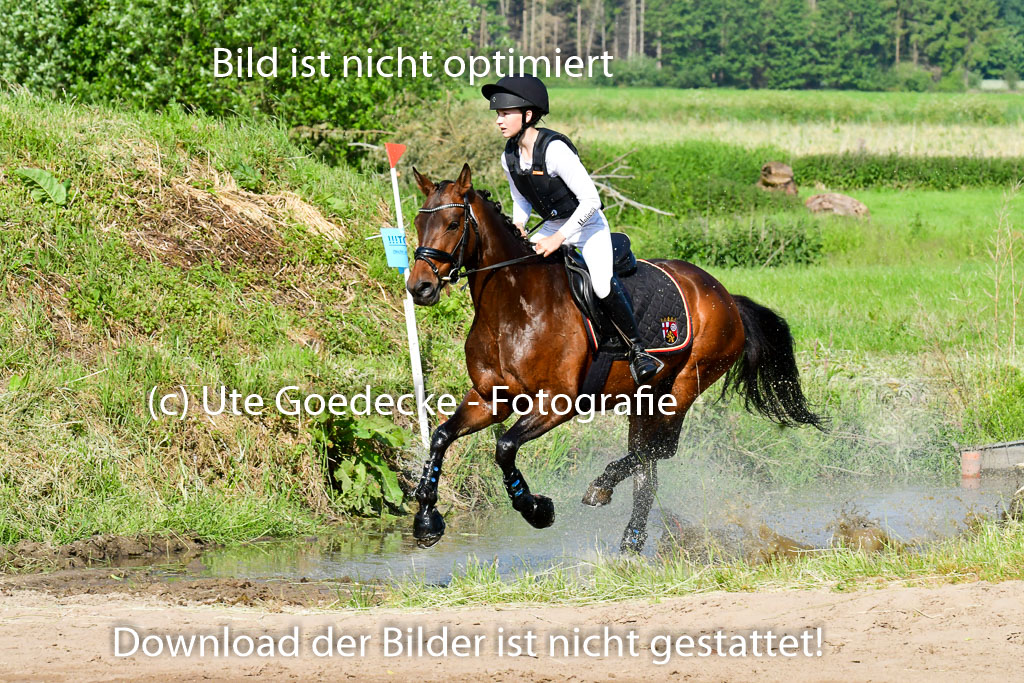 Goldene Schärpe Ponys in Löningen 4+5.6.22 | 04062022 - Gelände 1 Abt _0134