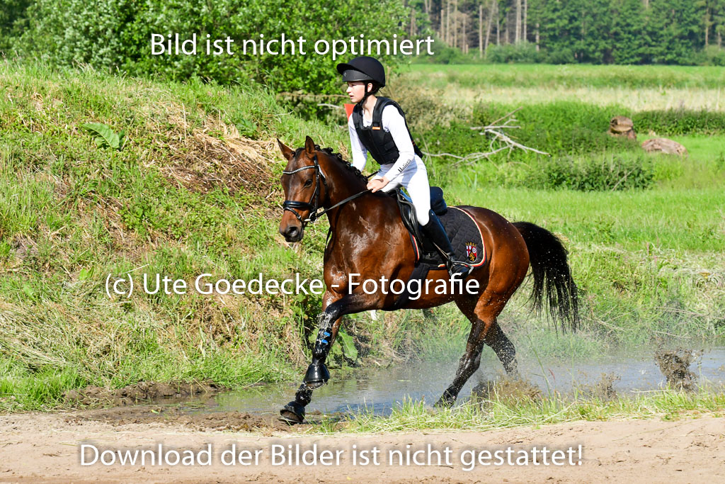 Goldene Schärpe Ponys in Löningen 4+5.6.22 | 04062022 - Gelände 1 Abt _0135