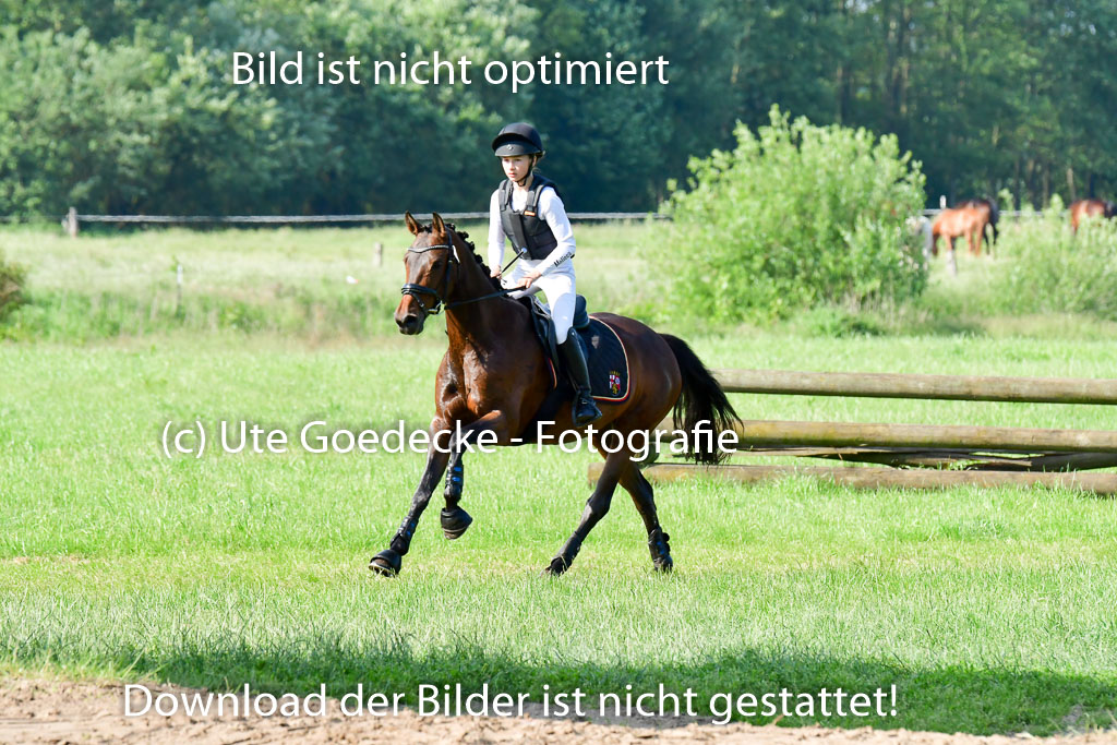 Goldene Schärpe Ponys in Löningen 4+5.6.22 | 04062022 - Gelände 1 Abt _0136