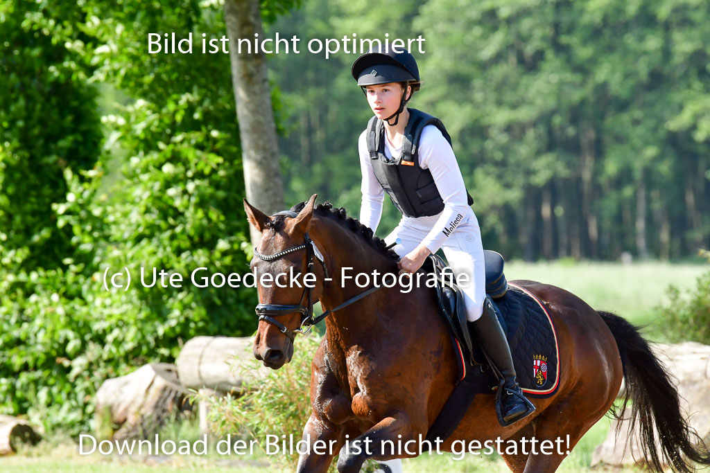Goldene Schärpe Ponys in Löningen 4+5.6.22 | 04062022 - Gelände 1 Abt _0138