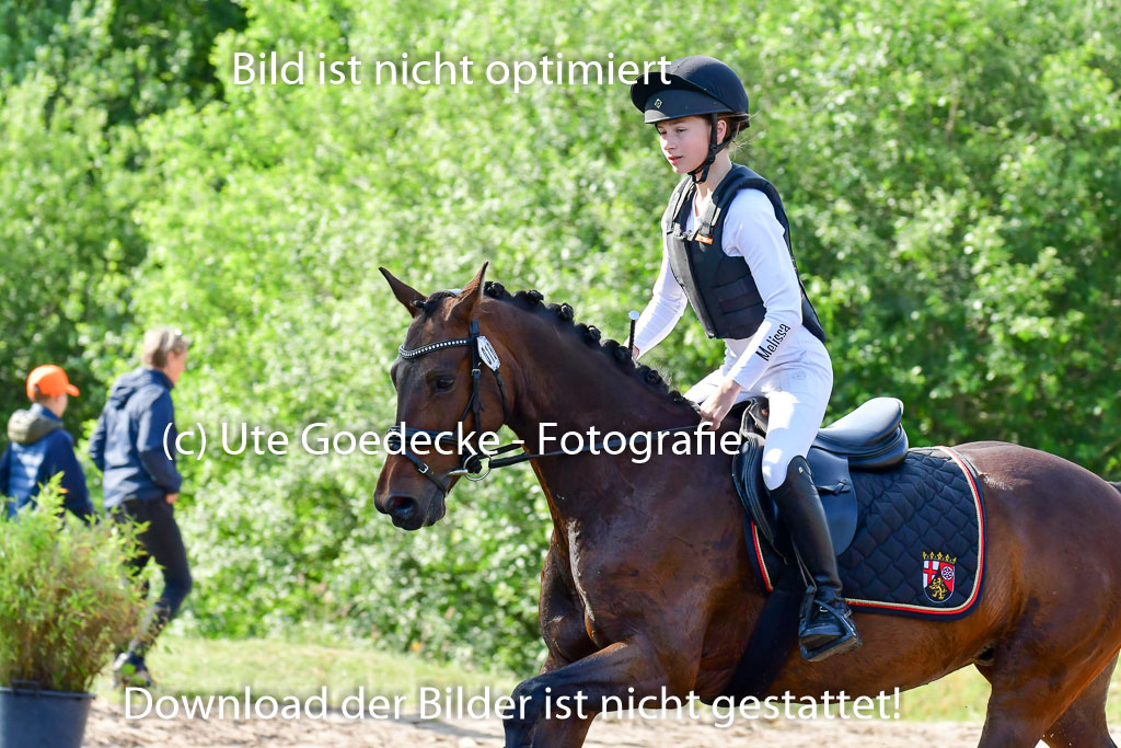 Goldene Schärpe Ponys in Löningen 4+5.6.22 | 04062022 - Gelände 1 Abt _0139