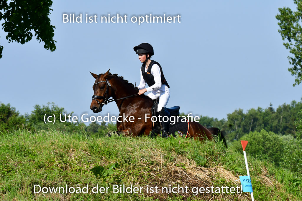 Goldene Schärpe Ponys in Löningen 4+5.6.22 | 04062022 - Gelände 1 Abt _0140