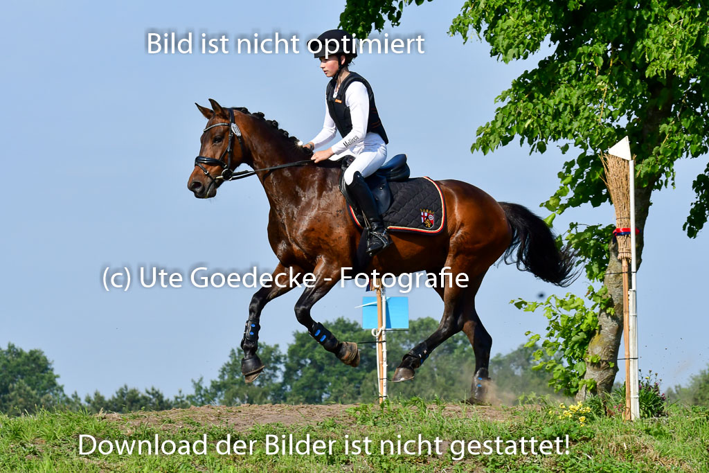 Goldene Schärpe Ponys in Löningen 4+5.6.22 | 04062022 - Gelände 1 Abt _0141