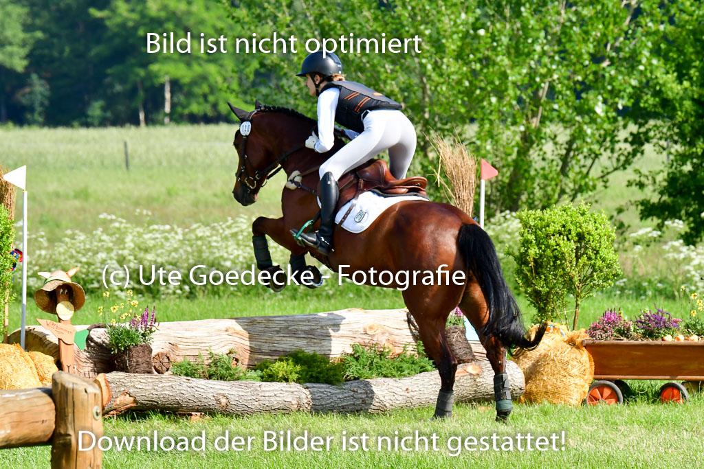 Goldene Schärpe Ponys in Löningen 4+5.6.22 | 04062022 - Gelände 1 Abt _0144