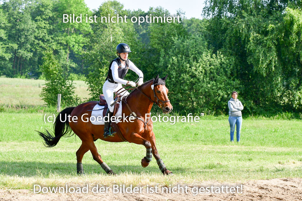 Goldene Schärpe Ponys in Löningen 4+5.6.22 | 04062022 - Gelände 1 Abt _0147