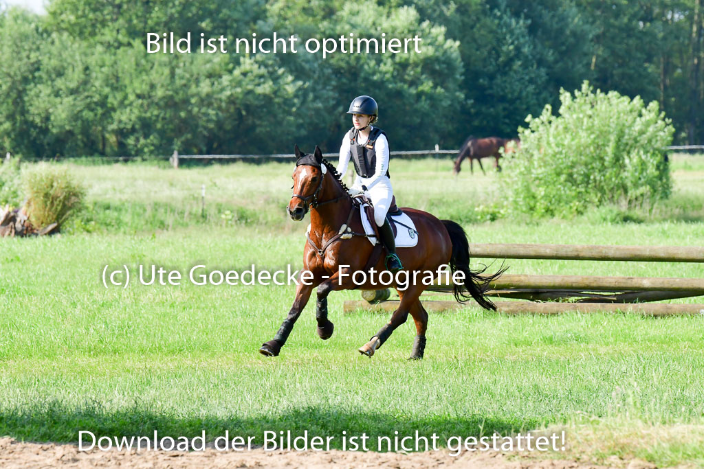 Goldene Schärpe Ponys in Löningen 4+5.6.22 | 04062022 - Gelände 1 Abt _0157