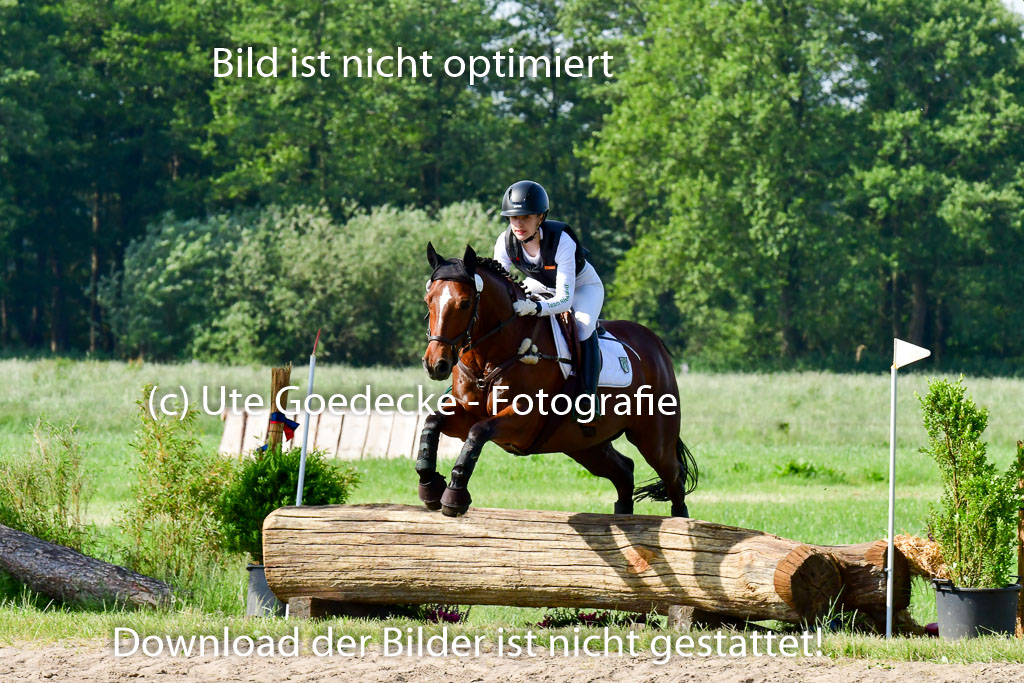 Goldene Schärpe Ponys in Löningen 4+5.6.22 | 04062022 - Gelände 1 Abt _0160