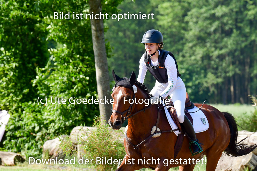 Goldene Schärpe Ponys in Löningen 4+5.6.22 | 04062022 - Gelände 1 Abt _0162