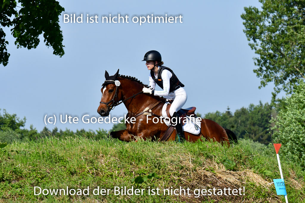 Goldene Schärpe Ponys in Löningen  4+5.6.22 | 04062022 - Gelände 1 Abt _0163 