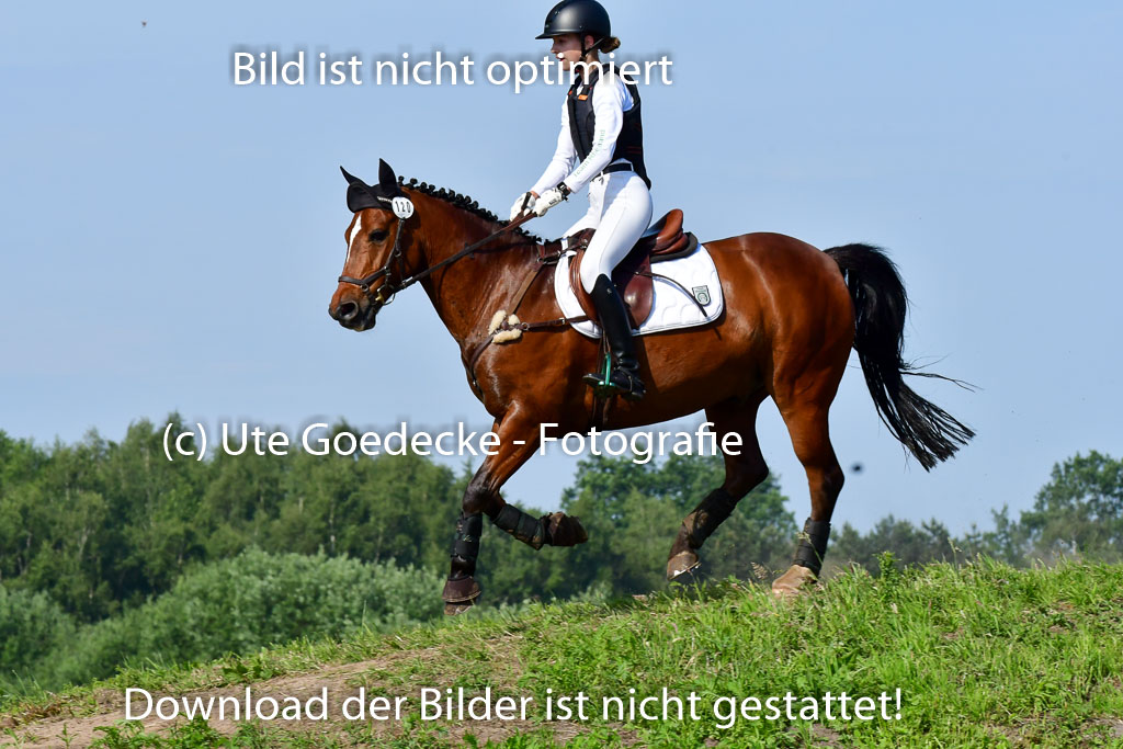 Goldene Schärpe Ponys in Löningen 4+5.6.22 | 04062022 - Gelände 1 Abt _0164