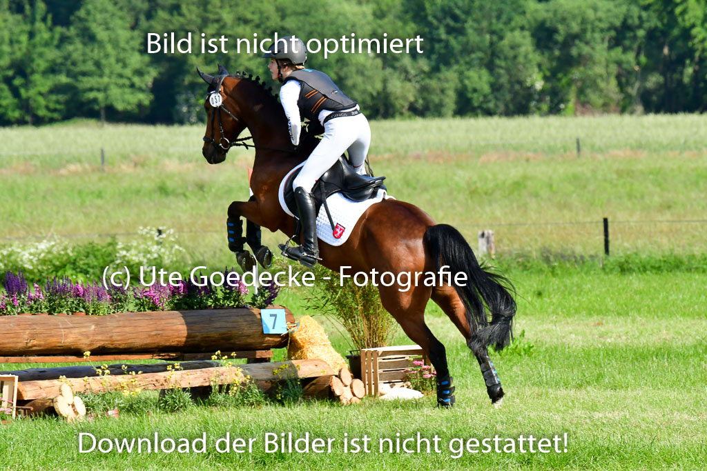 Goldene Schärpe Ponys in Löningen 4+5.6.22 | 04062022 - Gelände 1 Abt _0176