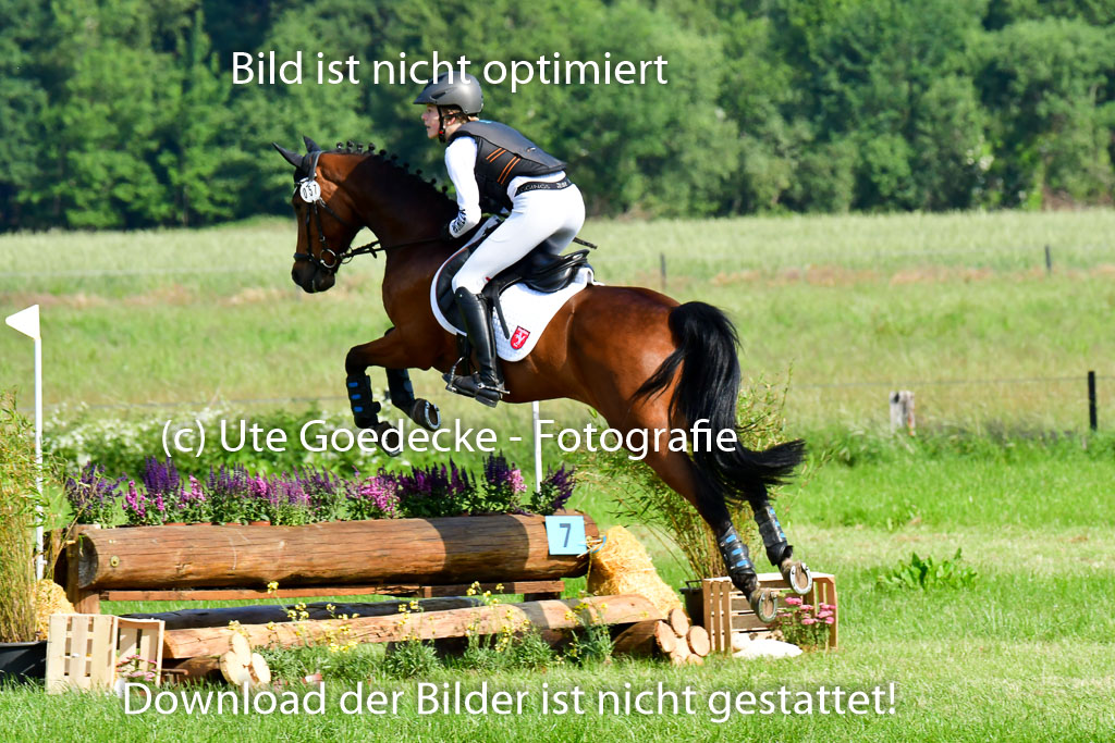 Goldene Schärpe Ponys in Löningen 4+5.6.22 | 04062022 - Gelände 1 Abt _0177