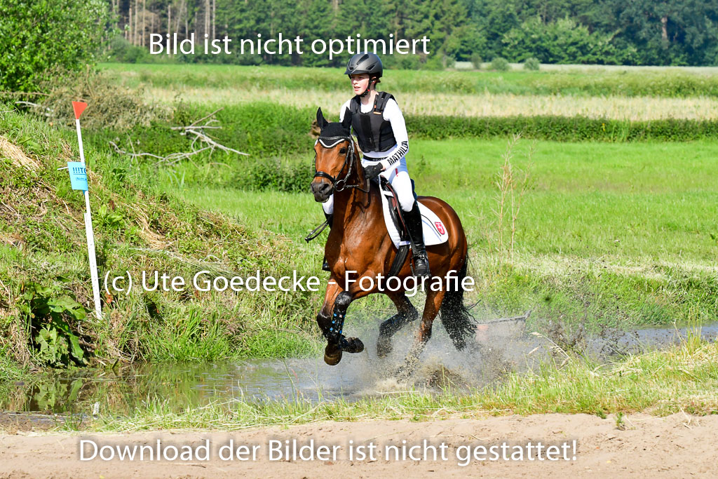 Goldene Schärpe Ponys in Löningen 4+5.6.22 | 04062022 - Gelände 1 Abt _0178