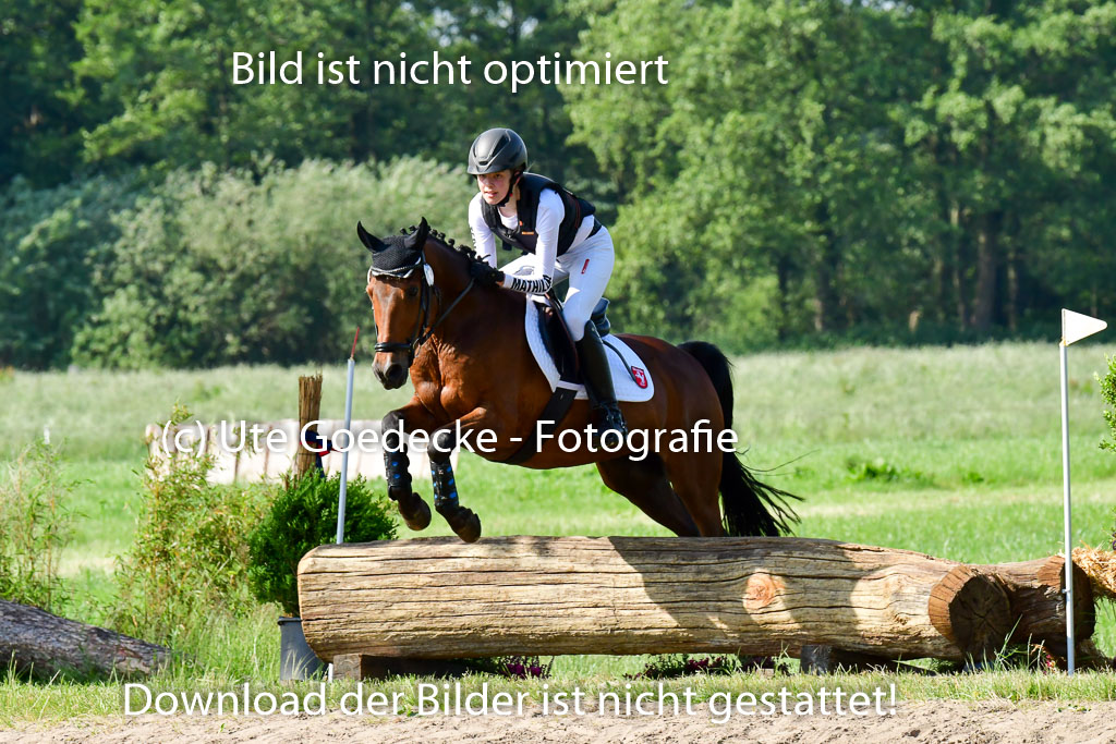 Goldene Schärpe Ponys in Löningen 4+5.6.22 | 04062022 - Gelände 1 Abt _0182