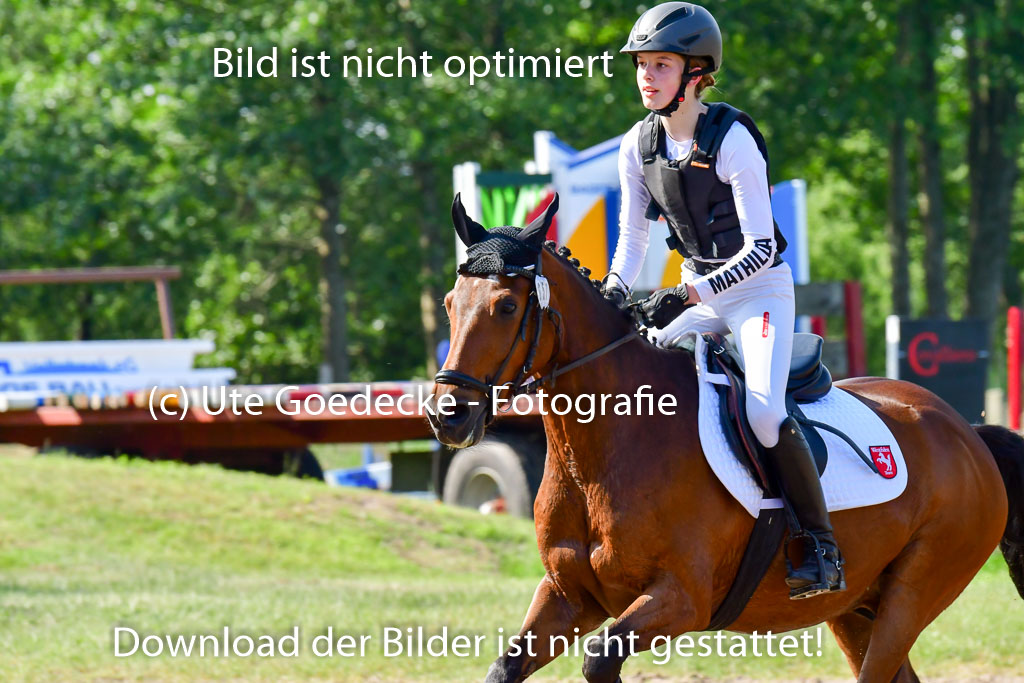 Goldene Schärpe Ponys in Löningen 4+5.6.22 | 04062022 - Gelände 1 Abt _0183