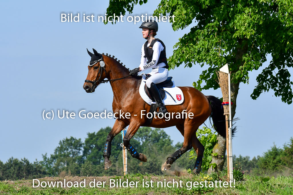 Goldene Schärpe Ponys in Löningen 4+5.6.22 | 04062022 - Gelände 1 Abt _0186