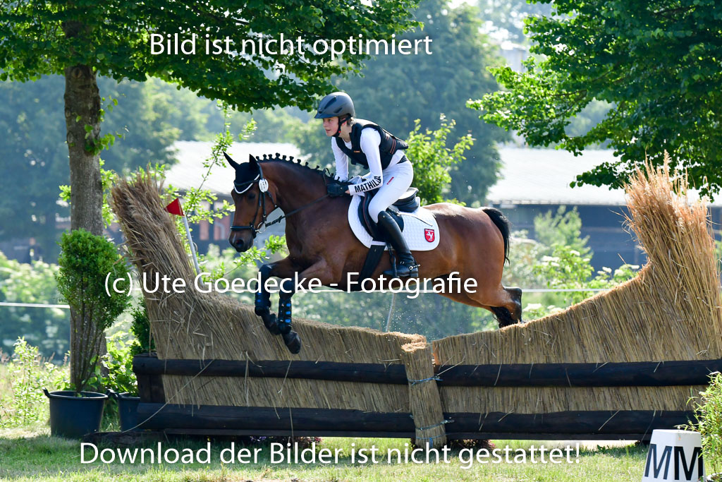 Goldene Schärpe Ponys in Löningen 4+5.6.22 | 04062022 - Gelände 1 Abt _0189
