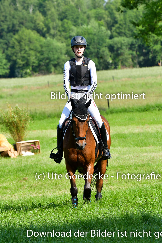 Goldene Schärpe Ponys in Löningen 4+5.6.22 | 04062022 - Gelände 1 Abt _0191