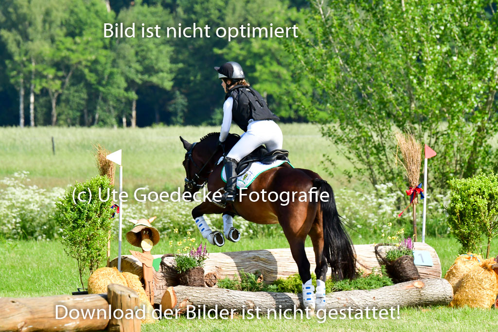Goldene Schärpe Ponys in Löningen 4+5.6.22 | 04062022 - Gelände 1 Abt _0194