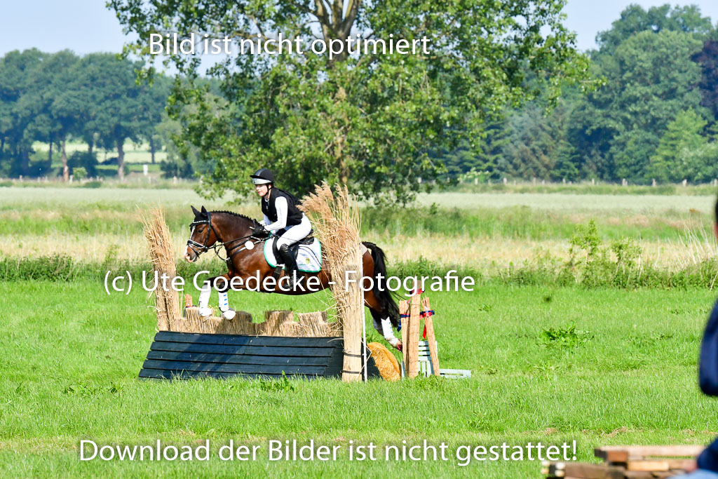 Goldene Schärpe Ponys in Löningen 4+5.6.22 | 04062022 - Gelände 1 Abt _0195